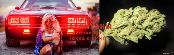 стаф Березники