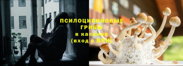 хмурый Домодедово